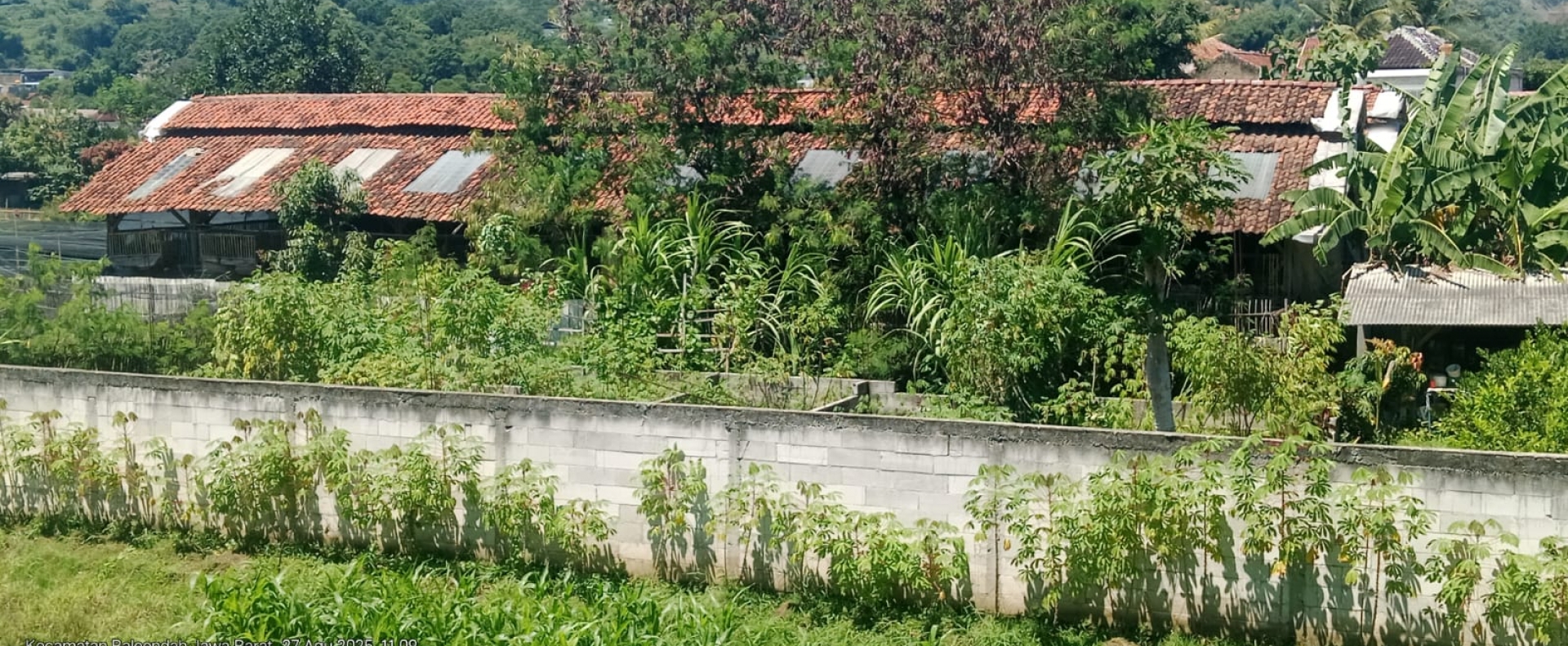 251016083740-warga.jpg